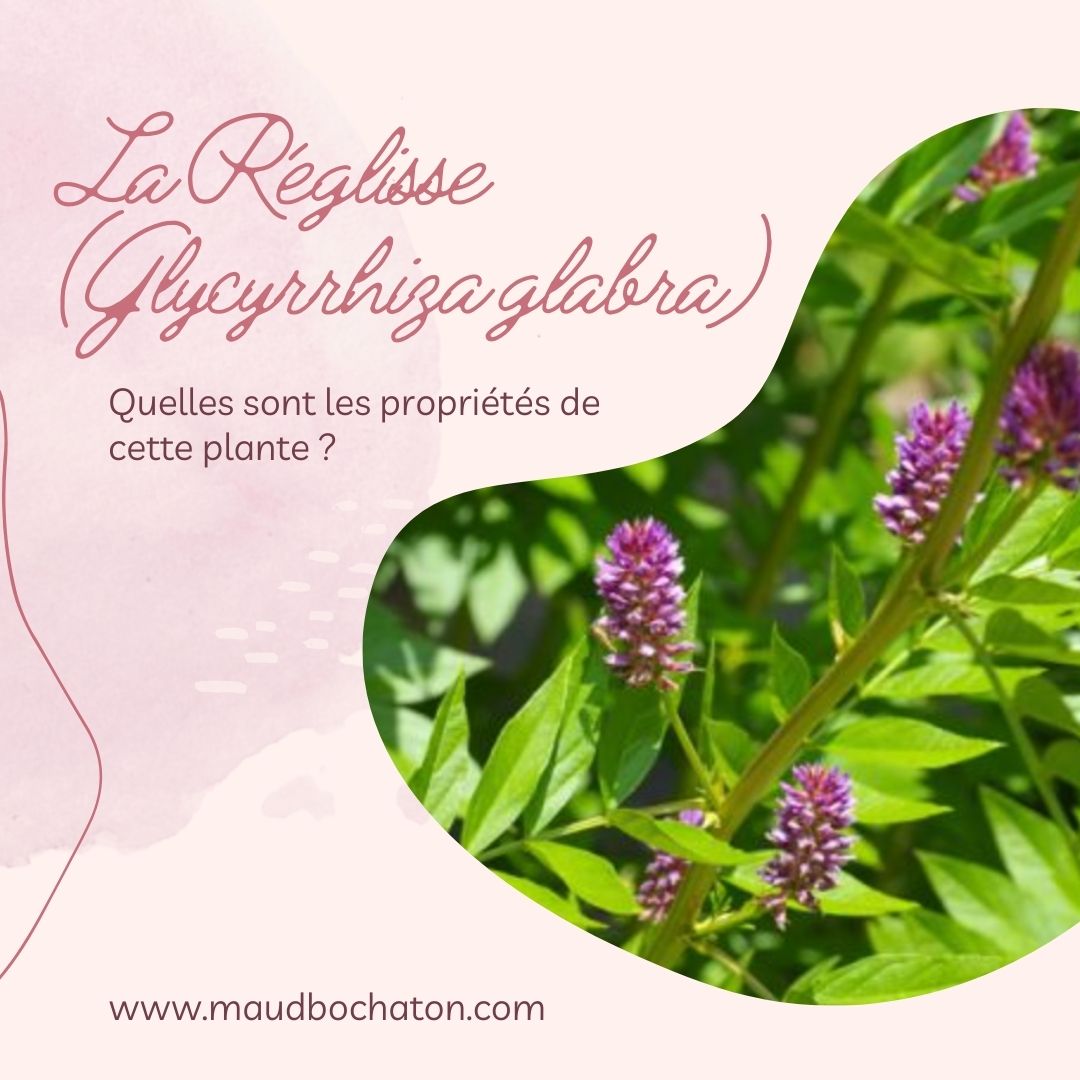 Conseils d’une naturopathe : La Réglisse