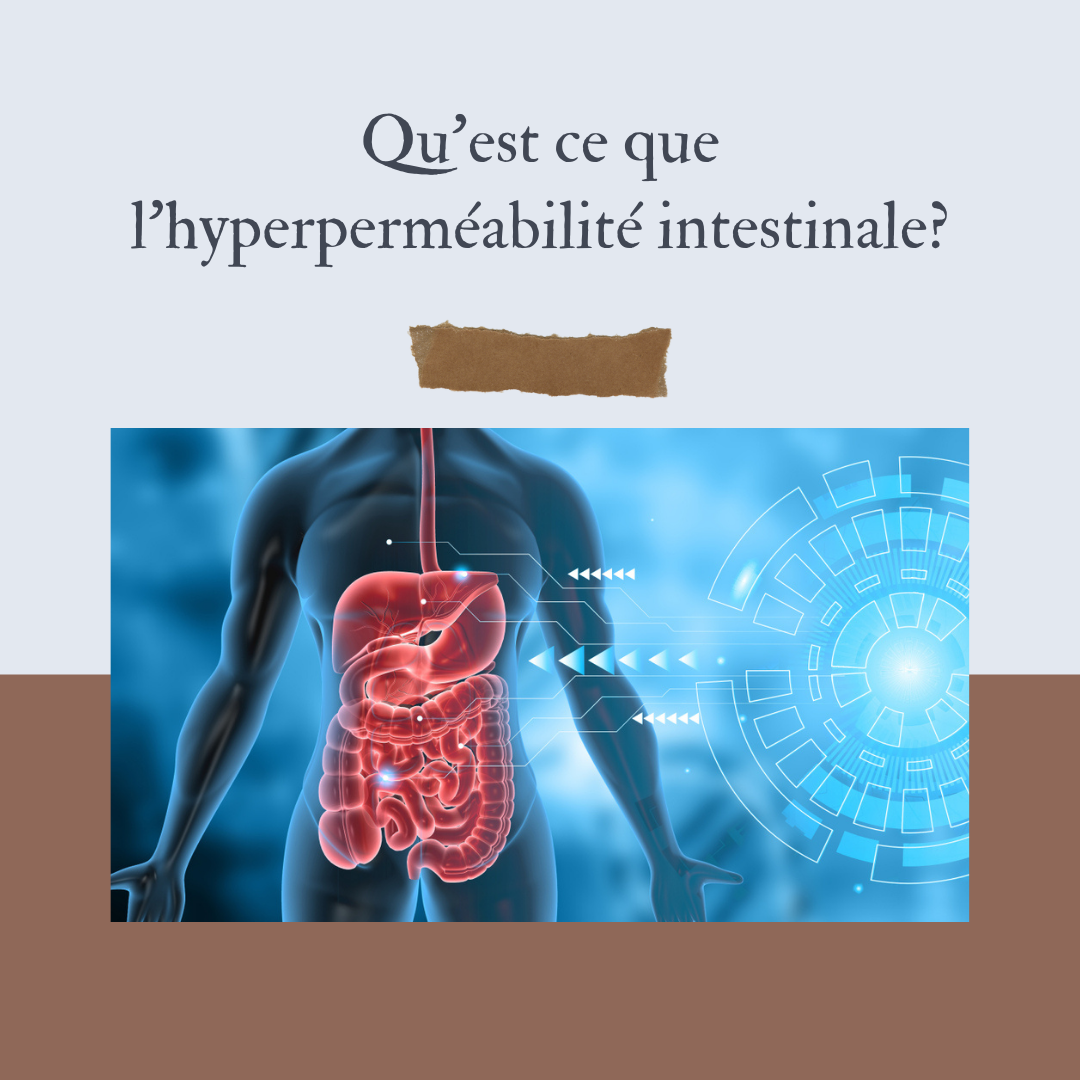 naturopathe annecy hyperpermeabilite intestinale
