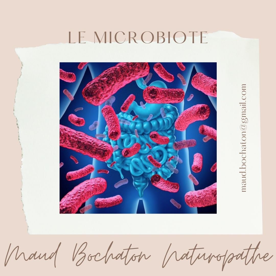 Conseils D'une Naturopathe : Le Microbiote Intestinal - Maud Bochaton