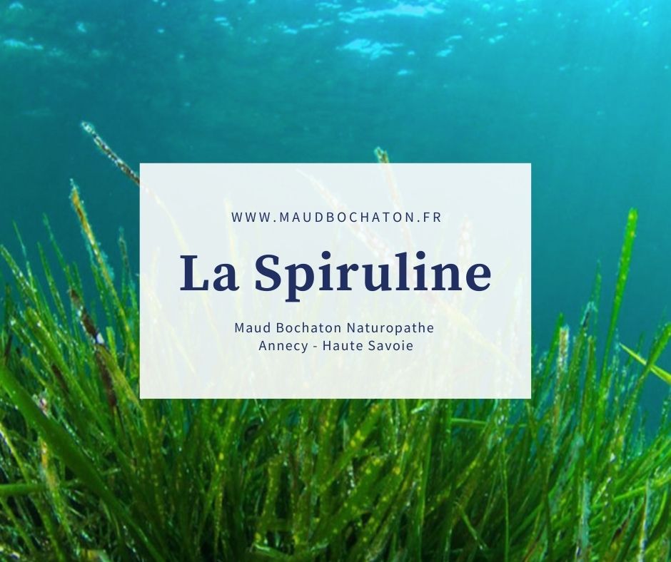 Conseils d&rsquo;une naturopathe à Annecy ! La spiruline