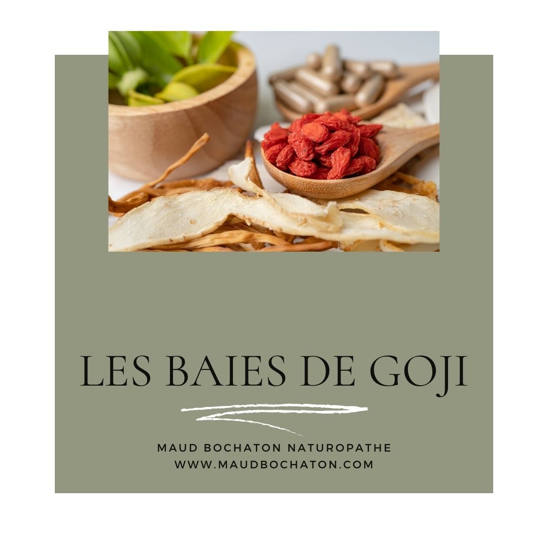 Conseils d&rsquo;une naturopathe : les Baies de Goji